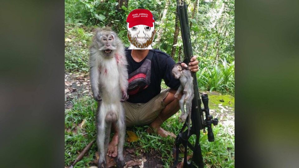 Killing monkey