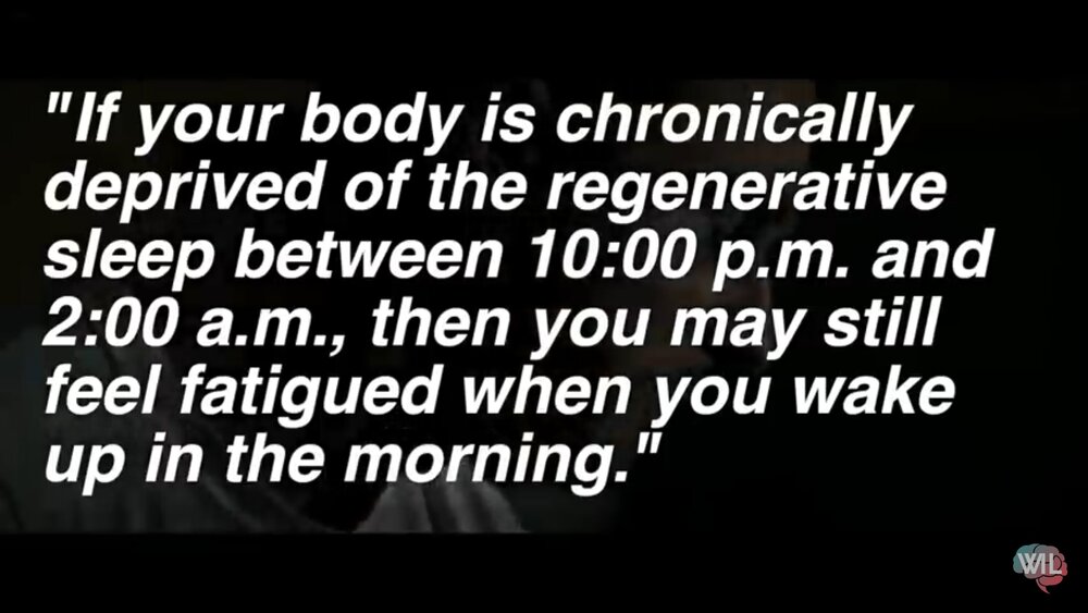 Sleep cycle