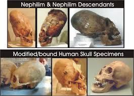 Nephilim skull