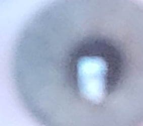 124295819 403100834036512 6571742897654162202 n