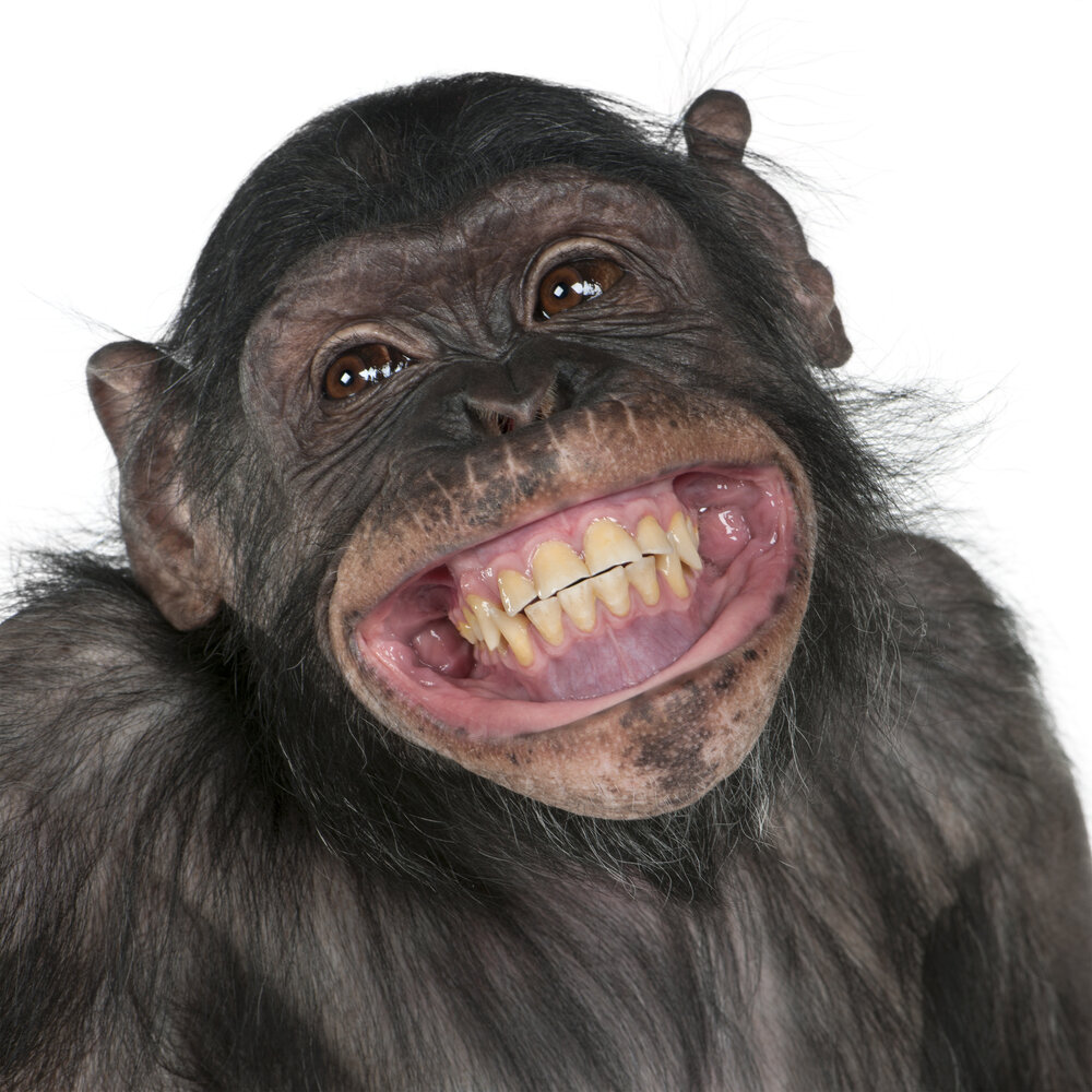 IStock 119838172