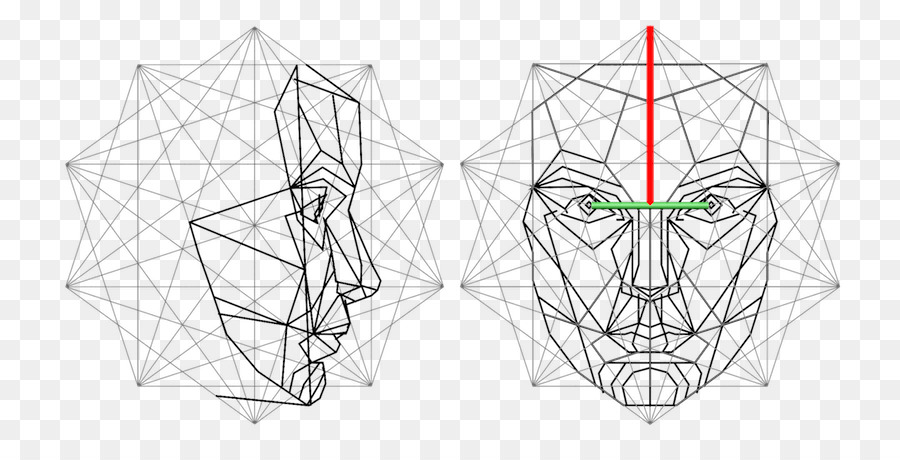 Kisspng golden ratio face vitruvian man mathematics anatomy human face graphic 5b4a0789811cb2
