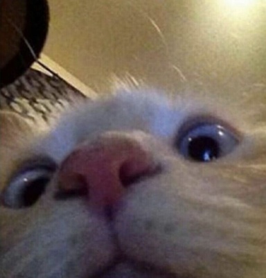 10461