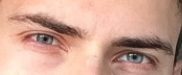 Eriksen2
