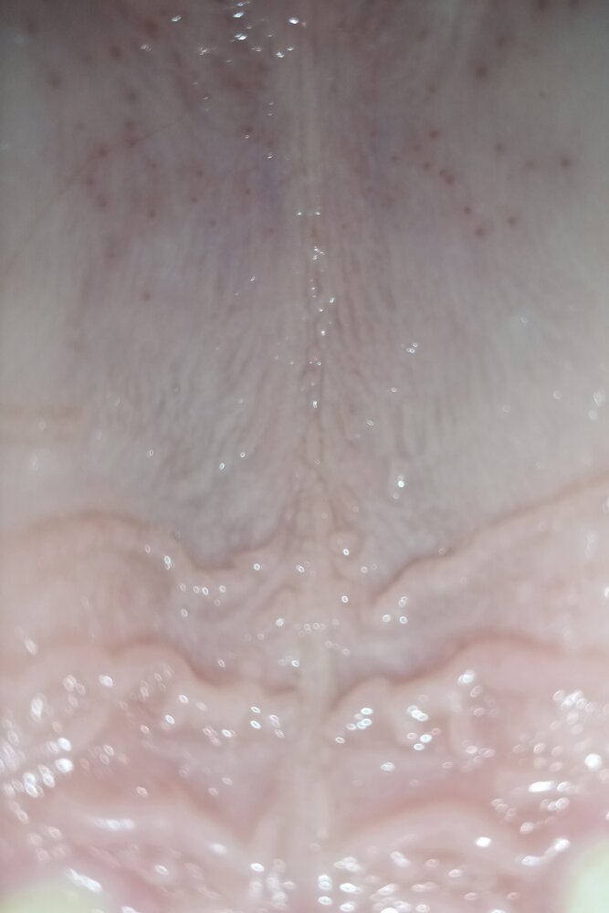 IMG 20201123 182844