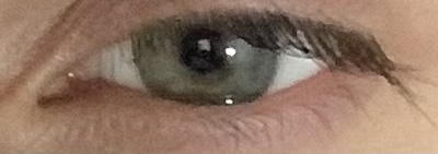 D5663C54 5546 4D48 8C36 2FFB2834D567