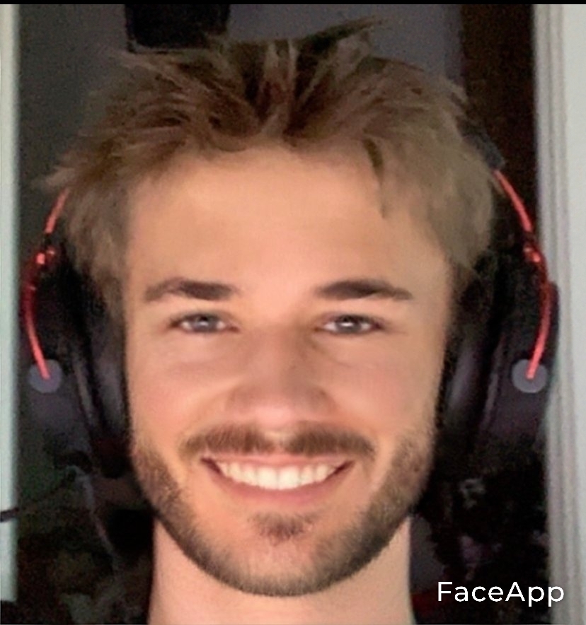 S1606227316567 code20201124141520ijinet editor result