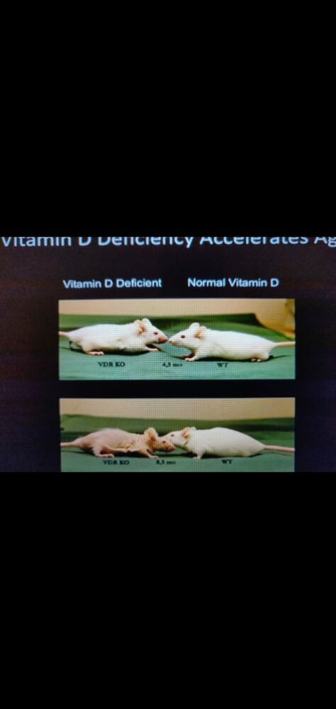 Screenshot 20201011 144506