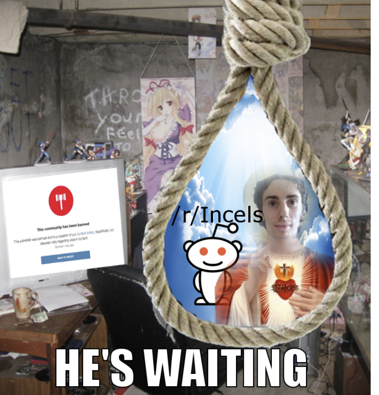 E9E0499E 53A0 492A B1CF C9936162BE38