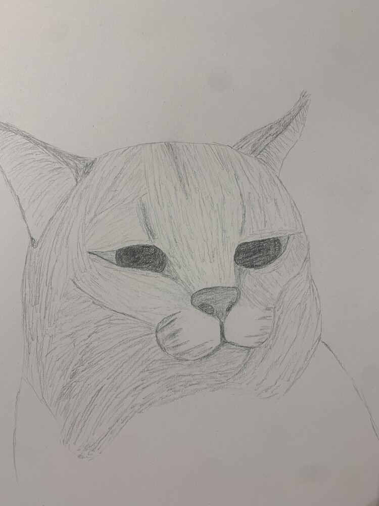 D664B4DB D173 4DC7 9EDF 73D2FC4B3506