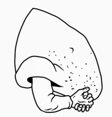 1606491677068