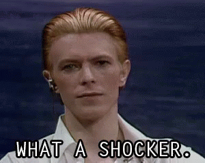 Bowie facepalm