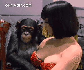 Giphy 24