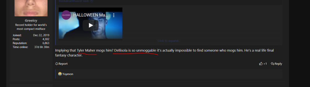Dellisola4