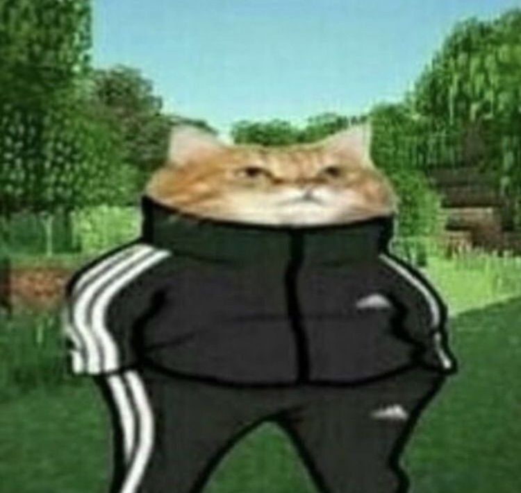 D0EF1A85 0ED8 4C7D 95C4 8A13E77D9A1E