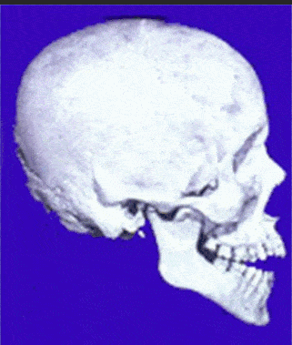 1606644807753