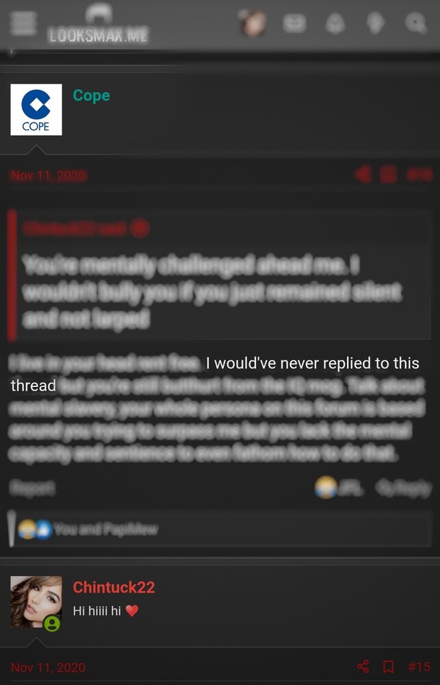Screenshot 20201129 160305 Chrome 01