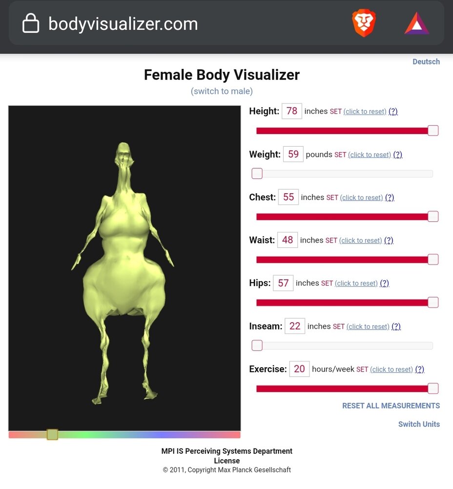 Screenshot 20201129 172917 Brave