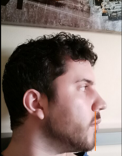 lattlebit.png