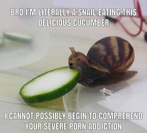 FB IMG 1595012000344