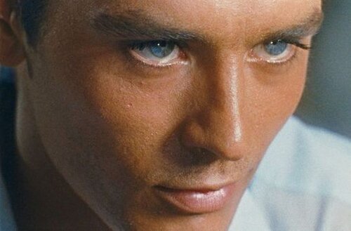 Bfa20cc85d077aa0ac65e583d02459bb