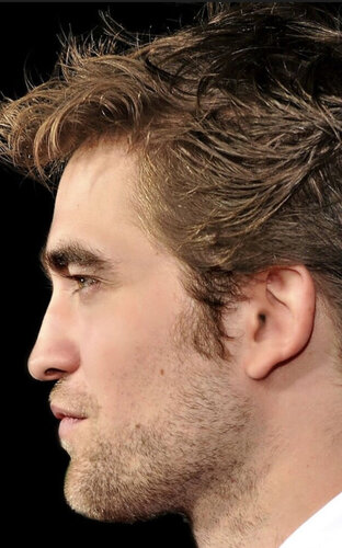 73E95954 D1F6 4527 B8C8 9AED87C4EF01