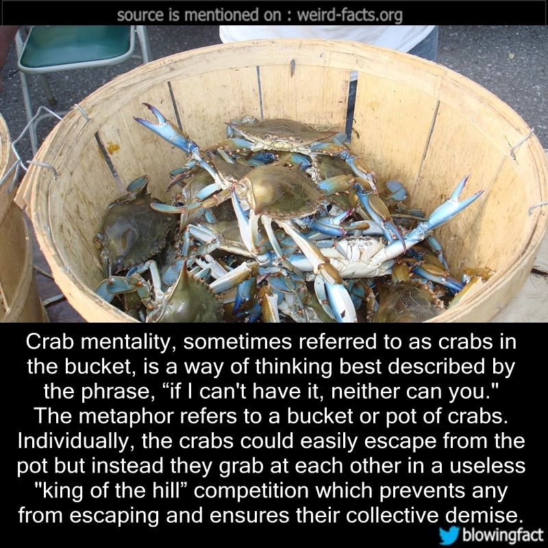 Tumblr o5fcn18EU91szqwnwo1 1280