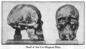 CroMagnonSkull