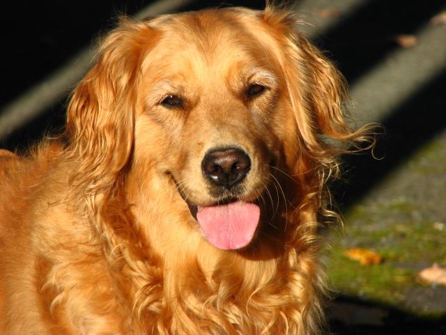 1 BMwTY NuBhZaLpNAg4XEgA