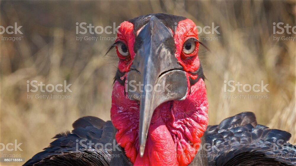 Istockphoto 860718584 1024x1024