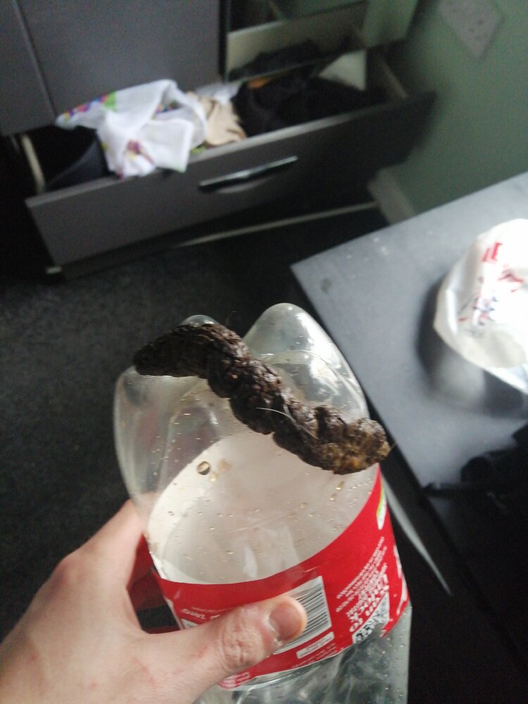 JPEG 20201110 110120