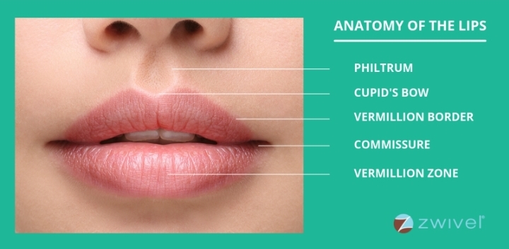 Screenshot 20201203 003736 DuckDuckGo