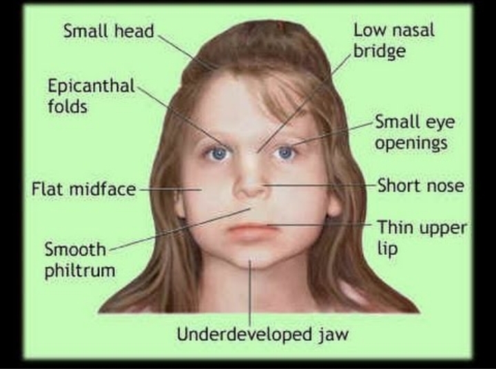 Screenshot 20201203 004955 DuckDuckGo