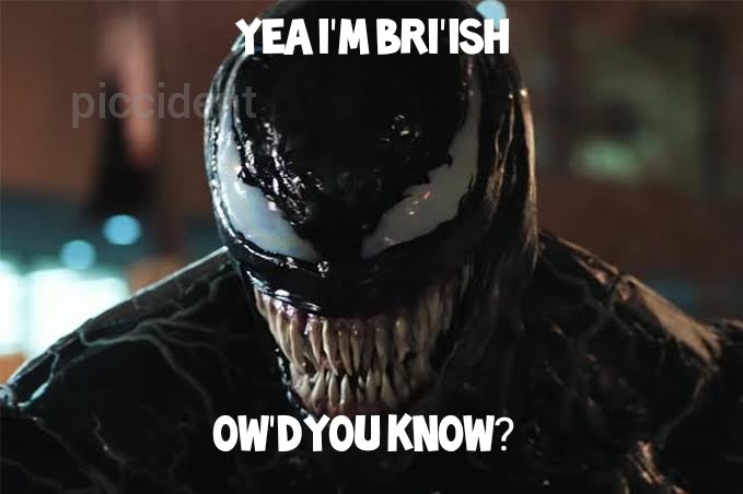 7256023