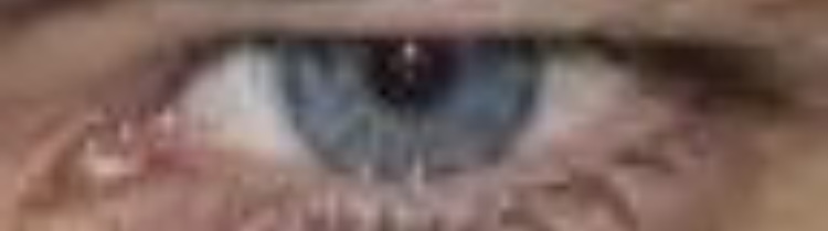 E3CDD2E8 381E 4371 81B9 5F769A92A7FD