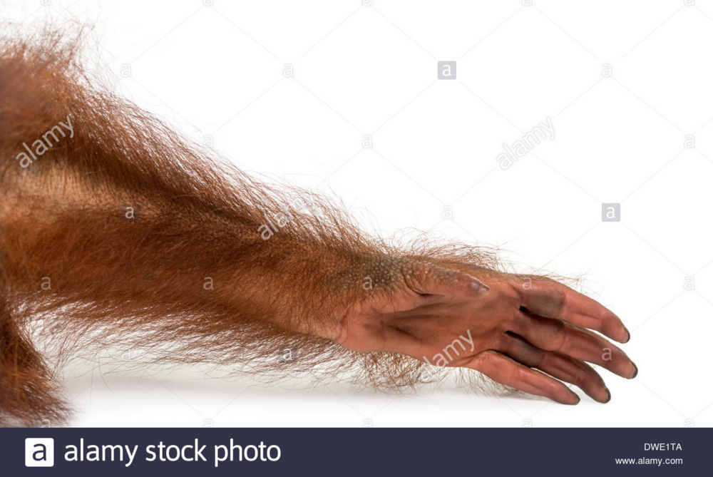 1607100256141