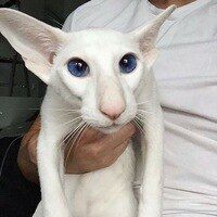 1b3571a63a0fb73610960abe469ddd14