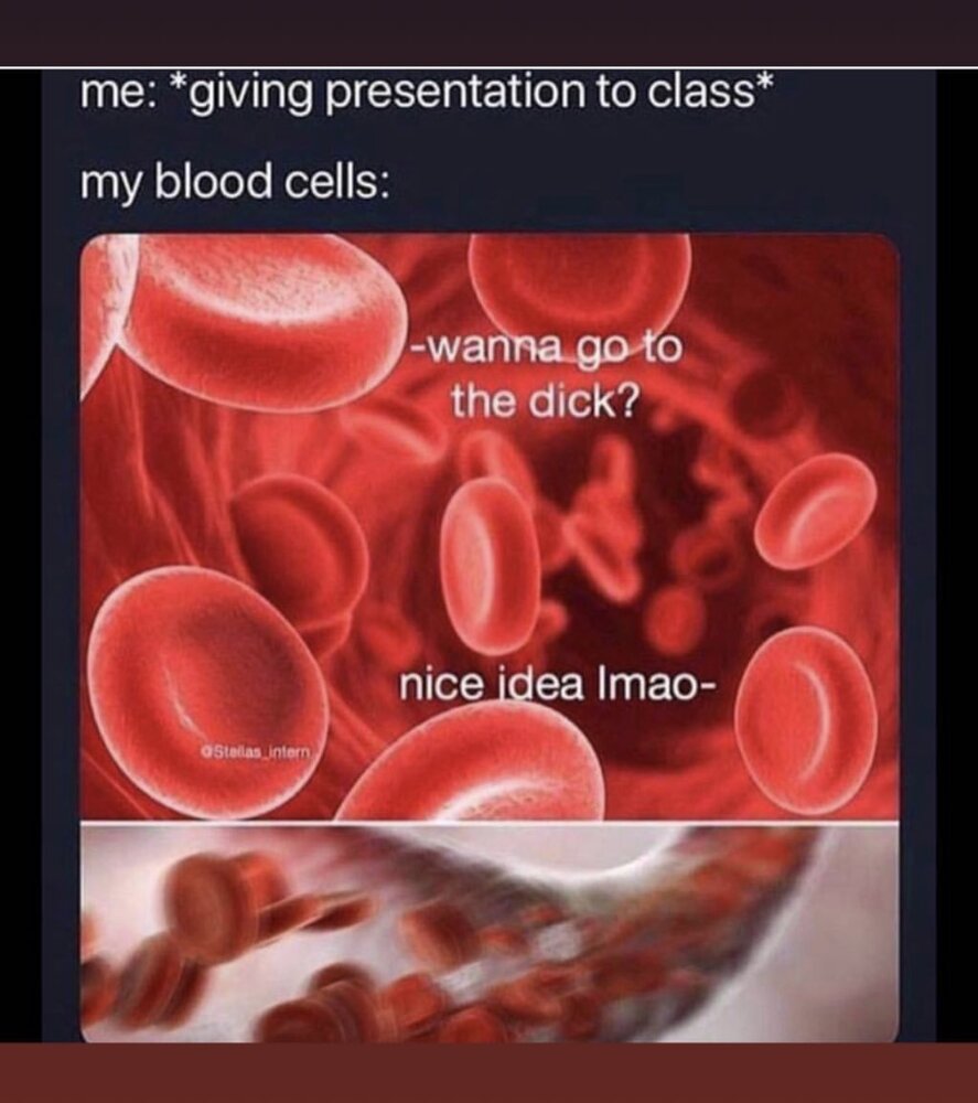 BCC66825 2F1A 4526 9165 16254837E016