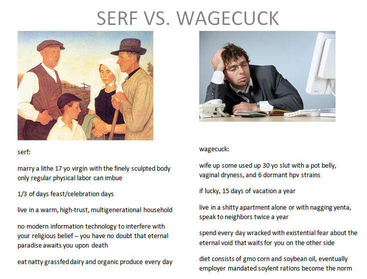 Serf vs wagecuck