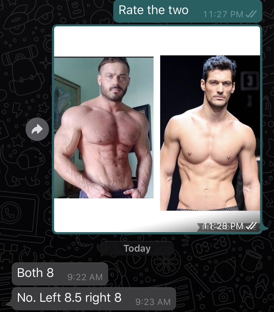 ACE30CDA BBE2 455B 9528 0A6649748E83