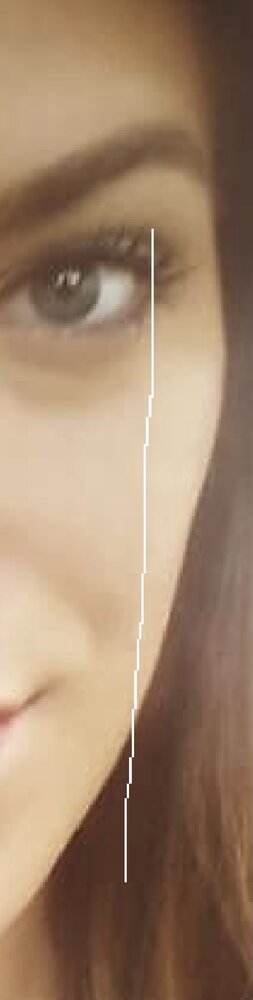 FD885BAB 6F6A 4941 88D2 DFD5B6AFE51D