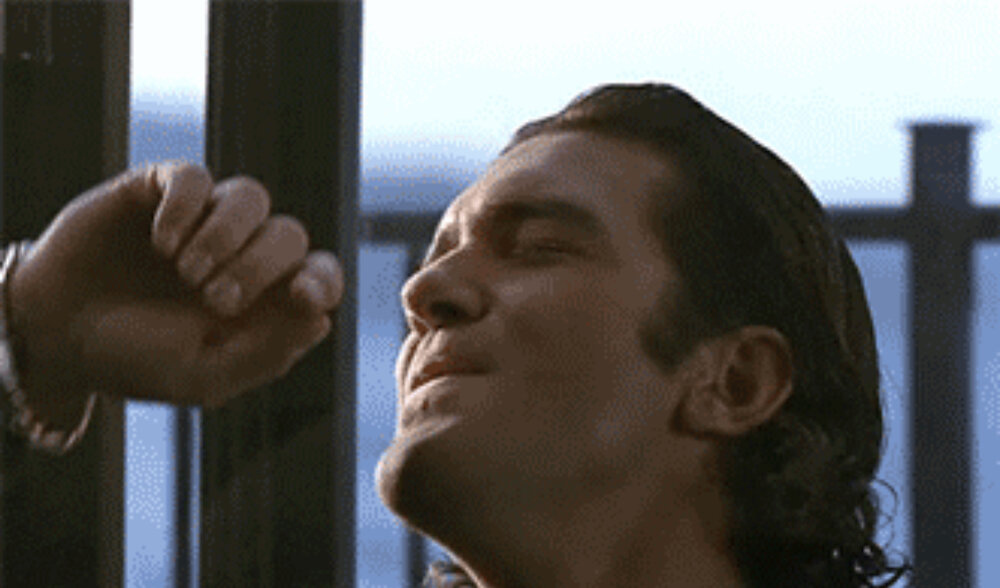 3113845C 7B9F 444A 8187 F4C84952CF43