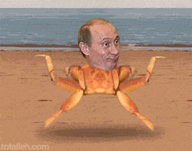 Anigif enhanced buzz 14308 1389872630 0
