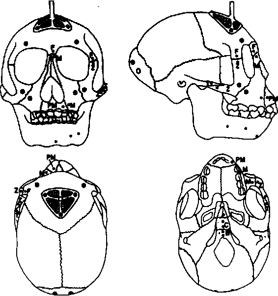 2 Figure1 1