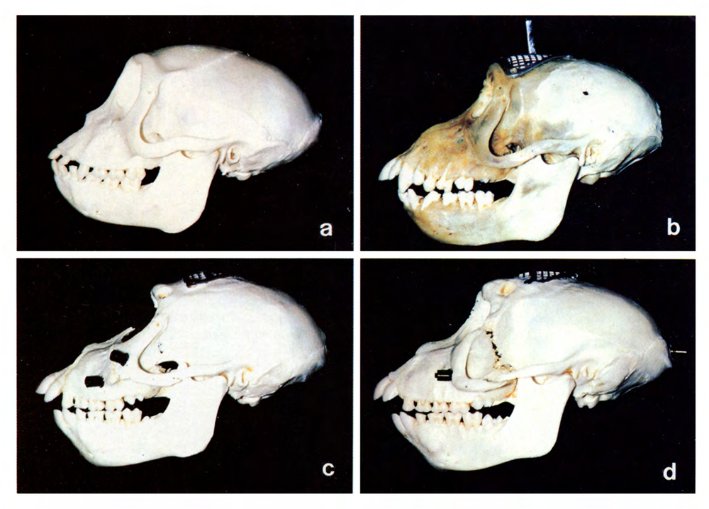 6 Figure6 1