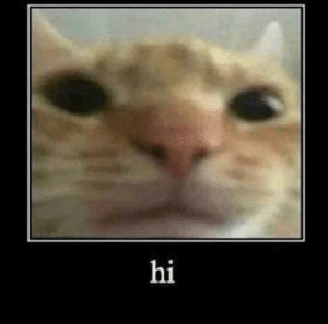 A69E41FE DAE7 4B8A B2C1 5276EF88D2C1
