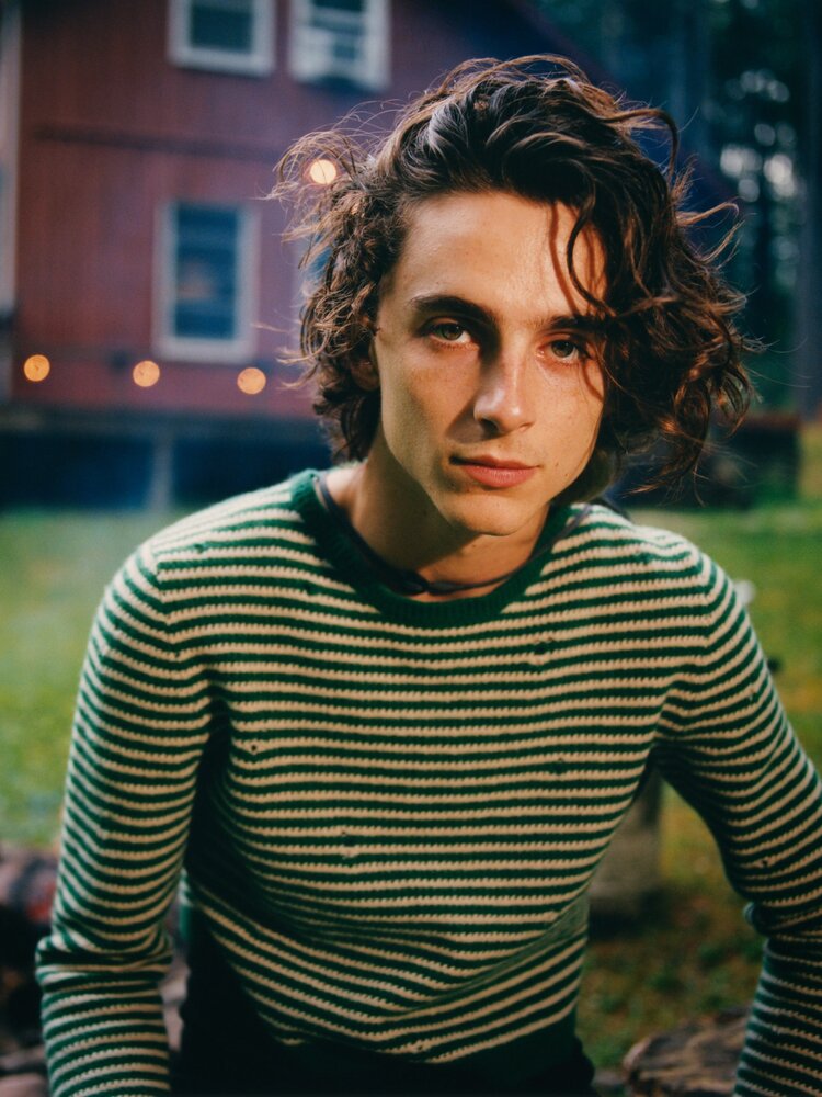 Timothee chalamet gq november cover 2020 promo