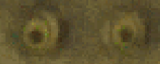 B8a9ed86dcedf6107459728ead970f80