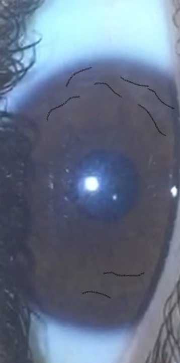 C79581C8 E31D 4B31 B609 22B8E0DCAC52