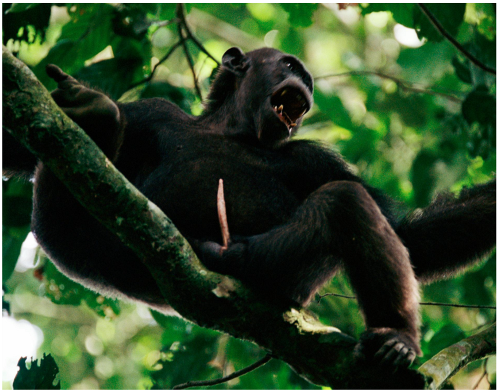 Screen Shot 2020 12 09 at 225600